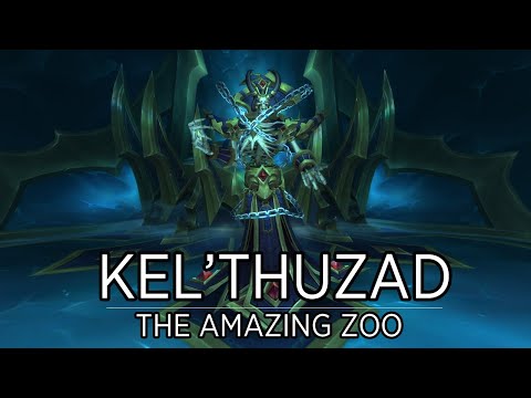 Kel'Thuzad Mythic - Multi PoV | Guild The Amazing Zoo - Archimonde
