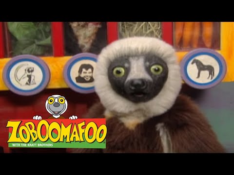 Zoboomafoo 214 - Bovine (Full Episode) | Cute Animals | Cute Pets