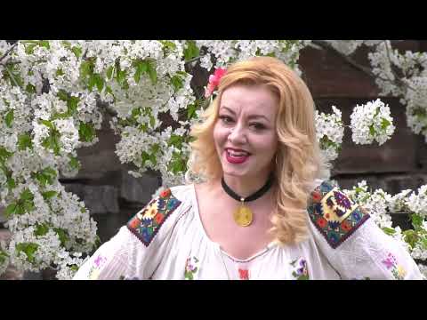 Andreea Teleguta   Hai invata dantu