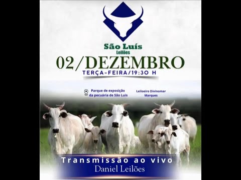 São Luís de Montes Belos  - GO  02/12/2025
