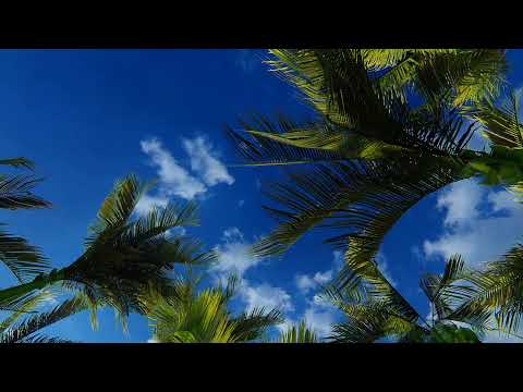 LUMION 9 ANIMATION | RENDER | 4K CINEMATOGRAPHY | #ARCHITECTURE