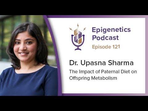 Epigenetics Podcast #121 - The Impact of Paternal Diet on Offspring Metabolism with Upasna Sharma