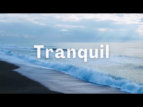 Them Highs And Lows - Cody Francis, Bird of Figment @Tranquil2022