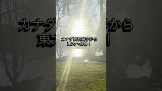 カナダ留学から東大へ！