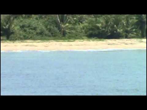 Pina Beach SEP08.mp4