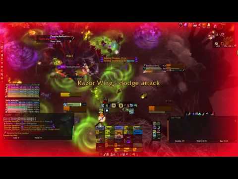 HC vs Heroic Elerethe Renferal Hunter PoV