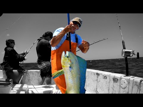 Catching Mahi-Mahi, Ono(Wahoo), And Yellowfin Tuna!!!(Offshore Fishing)