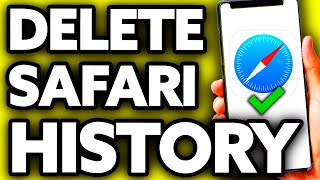 How To Delete Safari History on IPad with Restrictions (EASY!)