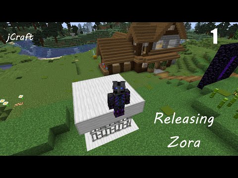 Releasing the Zora (JCraft EP1)