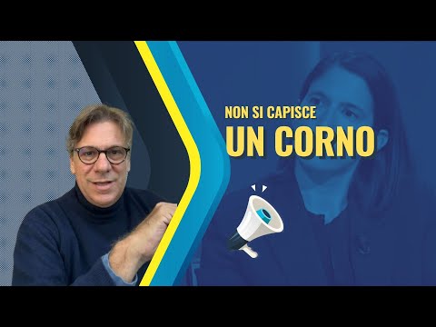 L'intervista alla Schlein pare un romanzo della Valerio: non si capisce un corno - Zuppa Porro24 apr