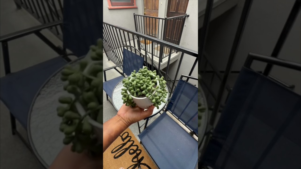 Gave My Tiny Balcony A Makeover for Under $100!