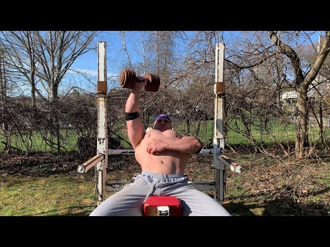 100 DAY CUT DAY 54 - BENCH, CHEST, BACK & TRAPS | OUTSIDE HOME GYM VIEW ! #chestworkout #workout