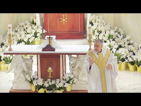 Father Mark Beard's Homily - "Busy" - 3rd Sunday of Easter, Year A 2023