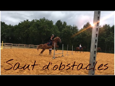 [COURS] Saut d’obstacles ! 19/06/19 - CS’o Landreau