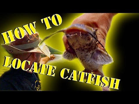 How to Locate Catfish in Rivers