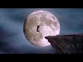 Tangerine Dream - Session West Part  IV (Video Version 1)