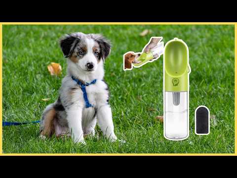 Gourde PETKIT Eversweet pour chien : mon test complet