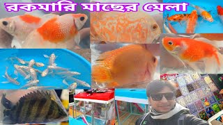 শ্রীরামপুরে রঙিন মাছ আর Accessories | Aquarium Fish Serampore Haat | Aquarium Fish Accessories |Fish