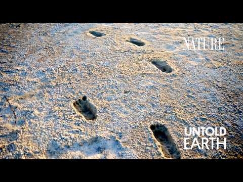 These Ancient Footprints Rewrite Human History - YouTube