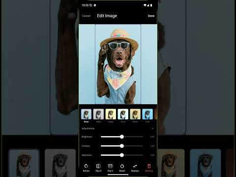 CollaGO! - Stunning Collages video thumbnail