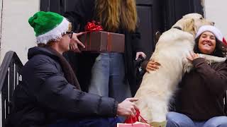 RYZE Holiday Haul (2025) – Ad Campaign