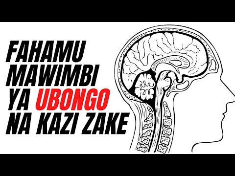 JE, UNAFAHAMU KUHUSU MAWIMBI YA UBONGO NA KAZI ZAKE?