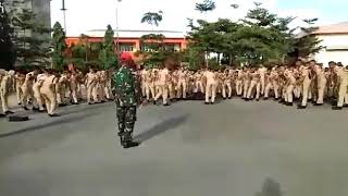 Download lagu Yel-Yel Taruna Pelayaran mp3 Download lagu Yel-Yel Taruna Pelayaran mp3