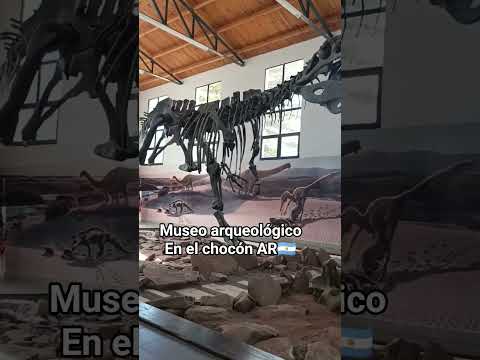 visitamos el chocón en Neuquén, próximamente video