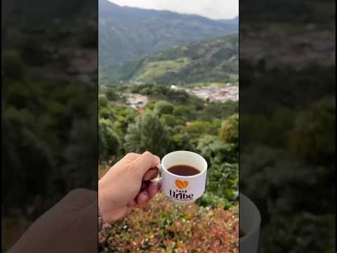 ☕️🏃🏻¡Café Uribe • Aliado Estratégico de la MMVR 2026! 🏁⚡️ #mediamaraton #running #cafe #cafeteria