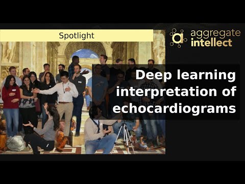 Deep learning interpretation of echocardiograms | AISC