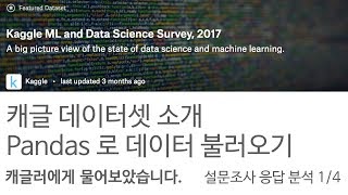 (1/4) 캐글러를 대상으로 데이터과학과 머신러닝에 대한 설문조사의 응답을 파이썬 데이터 시각화 툴로 분석해 봅니다.