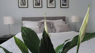Adriatic Apartments | Ulica Antuna Gustava Matoša 38, 21000 Split, Croatia | AZ 