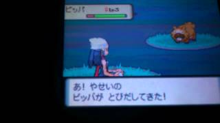 ポッチャマ ポケットモンスター キュレム チェリム グライガー ポッチャマ ポケットモンスター キュレム チェリム グライガー
