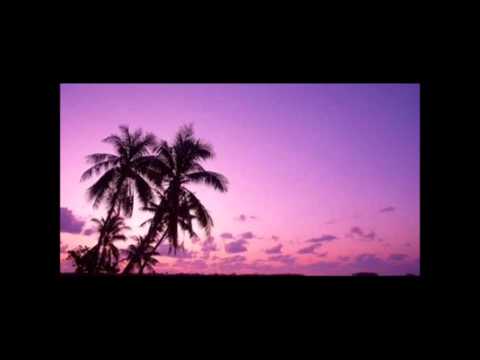 Tony Ray feat. MC Robinho - SO HIGH