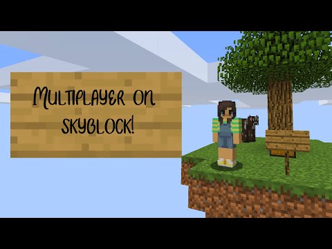 HOW TO PLAY SKYBLOCK ON YOUR MULTIPLAYER SERVER! | Minecraft