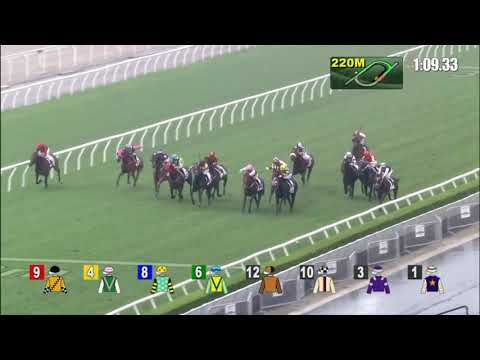 15/5/2022 (669) Sparky Star - H Bentley