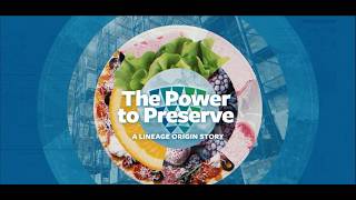 Lineage Origins | The Story Behind the Cold Chain