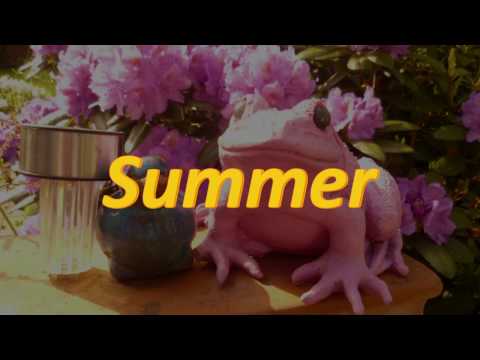 download lagu mp3 mp4 Merrysound, download lagu Merrysound gratis, unduh video klip Merrysound