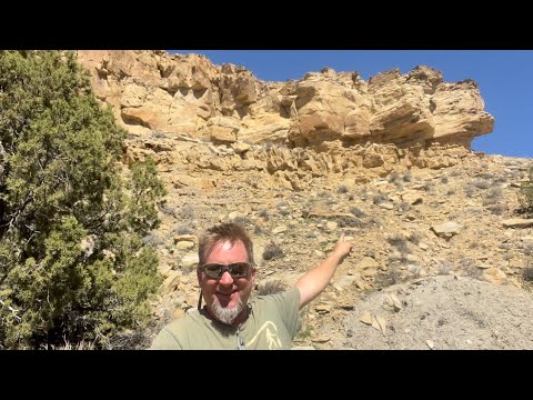 Sedimentology and ichnology of 3 stacked Ferron Sandstone parasequences (Book Cliffs, Utah)