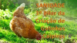 Miniatura do vídeo