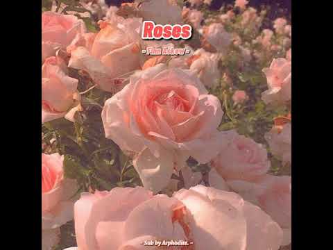 [EngSub/Lyrics] Roses - Finn Askew