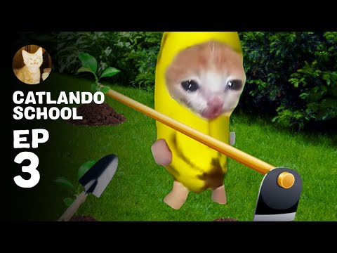 EP3 - THEY THINK BANANA CAT IS STUPID 😢
