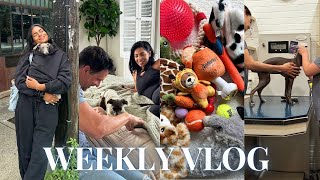 WEEKLY VLOG ♡ (I GOT A PUPPY !!!!!!! meeting her siblings, aunties, grannies, girls night WE UP!!+)