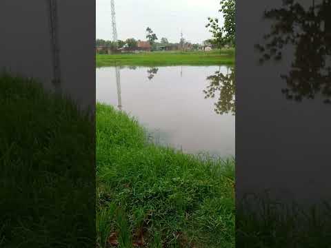 barish ka Mausam rimjhim #sukhpal #add1subscriber  #2023