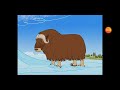 Mickey S World Record Animals Most Hair Episode 5