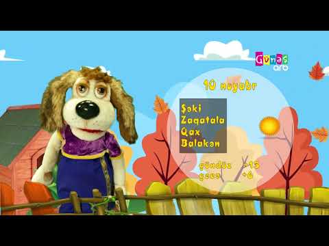 "Hava necə olacaq?" - 10 noyabr 2024-cü il