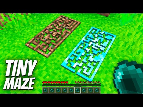 I found a TINY MAZE in Minecraft ! SMALLEST DIAMOND MAZE vs TINY DIRT MAZE !
