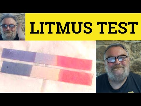 🔵 Litmus Test Meaning - Litmus Test Definition - Litmus Examples - Litmus Test
