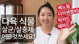 다육이(식물) 살균제,살충제 어떤 제품 쓰세요?(베노밀,다이센엠45,빅카드,매머드 효능과 사용방법) succ…