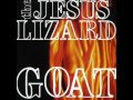 Jesus Lizard - Nub